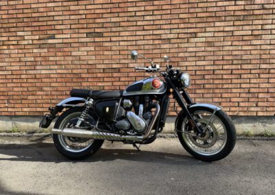 650-Goldstar-400x284-1