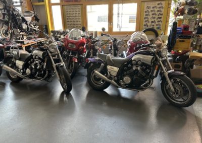 Egli V-max