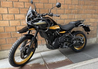 Himalayan-450-400x284-1