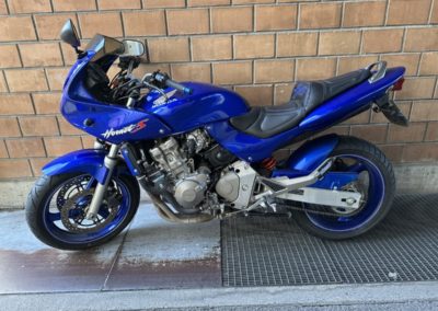 Hornet-600-400x284-1